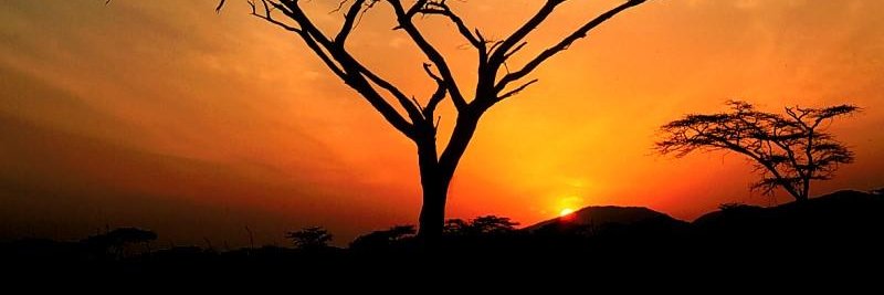 KrushioJoe's profile banner image