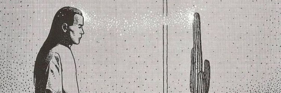 Nicola Lagioia's banner