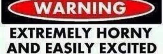 Porn and Other Things banner