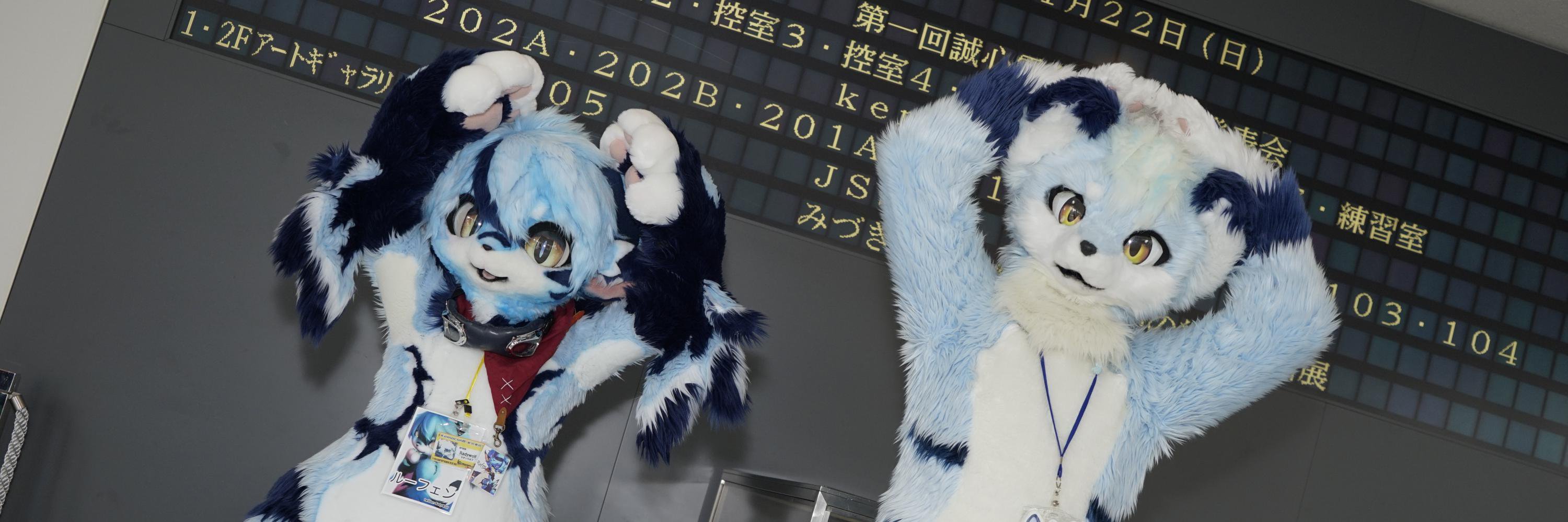 🍛カレー🍛🔜けもケ➔Fur:Raid➔Infurnity's banner