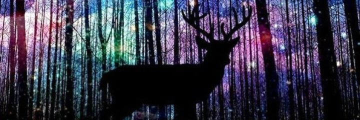 xpiratee's profile banner image