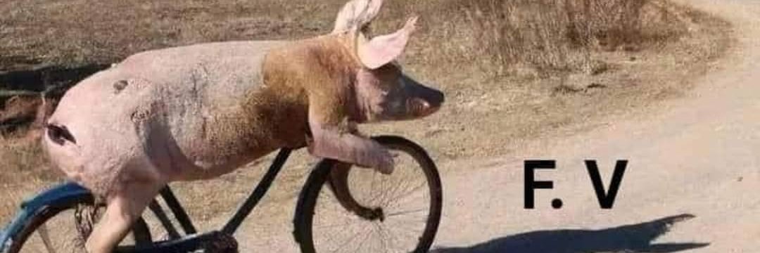 sergio simon nieto banner