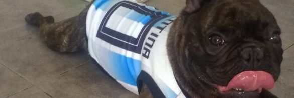 orbeltran07's profile banner image