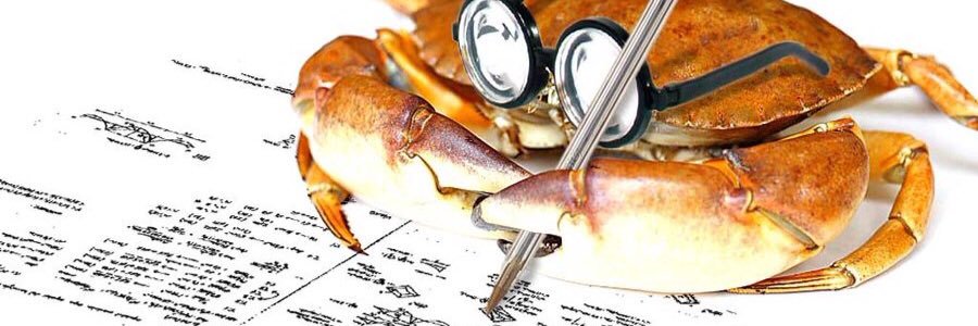 crabinthestacks's profile banner image
