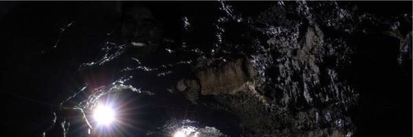 Alice5938's profile banner image