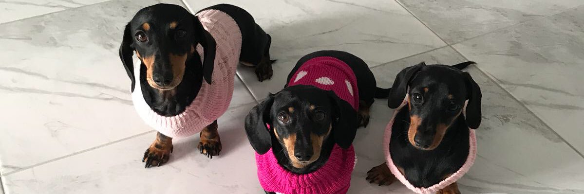 Mitzi 🐝 banner