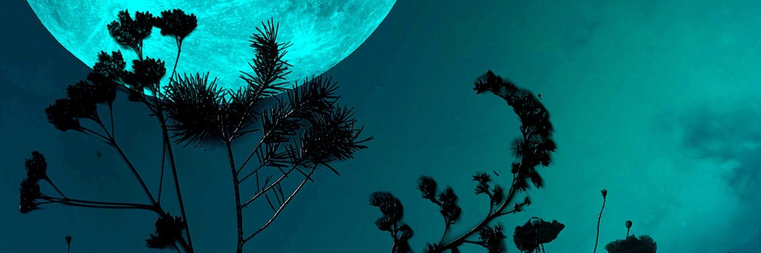ZPguy's profile banner image