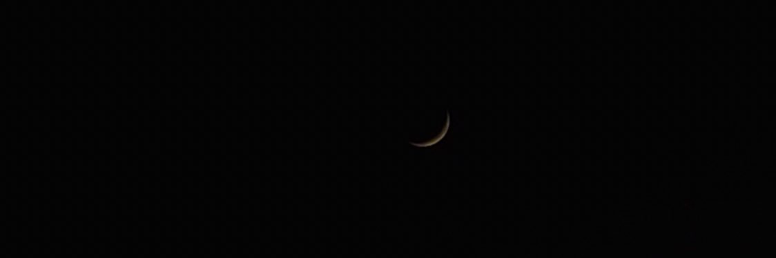 sergina ☽ banner