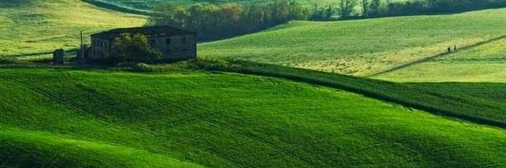 guler544's profile banner image