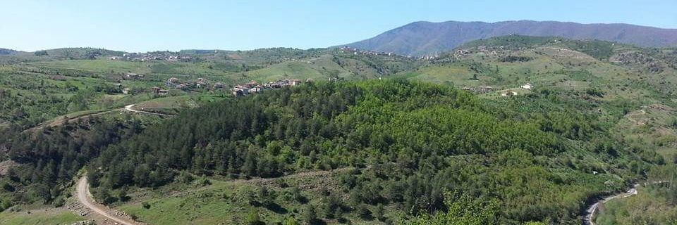 halilyavuz81's profile banner image