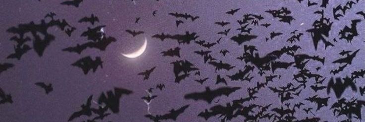_darkarcades_'s profile banner image