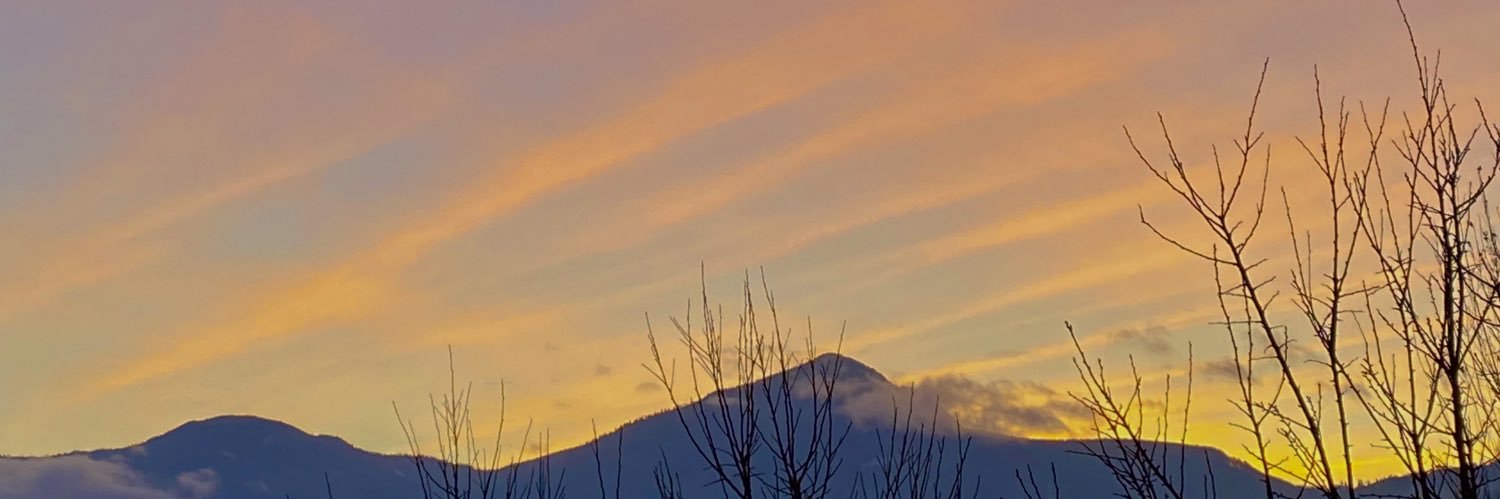 bessonftmiller's profile banner image