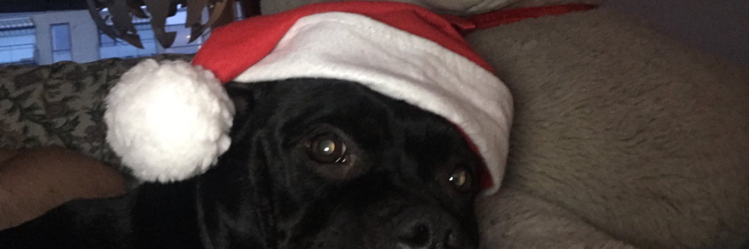 rogvalrey's profile banner image