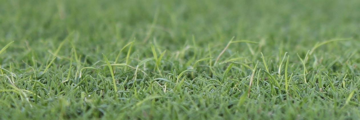 Joseph Roberts banner