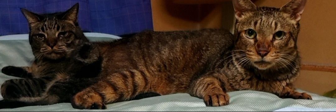 Mackey(🐴1-1-2-2-4-9)(🍜39) banner