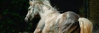 IngRabanales's profile banner image
