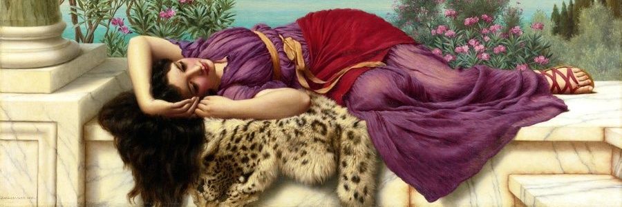 damlarcn's profile banner image
