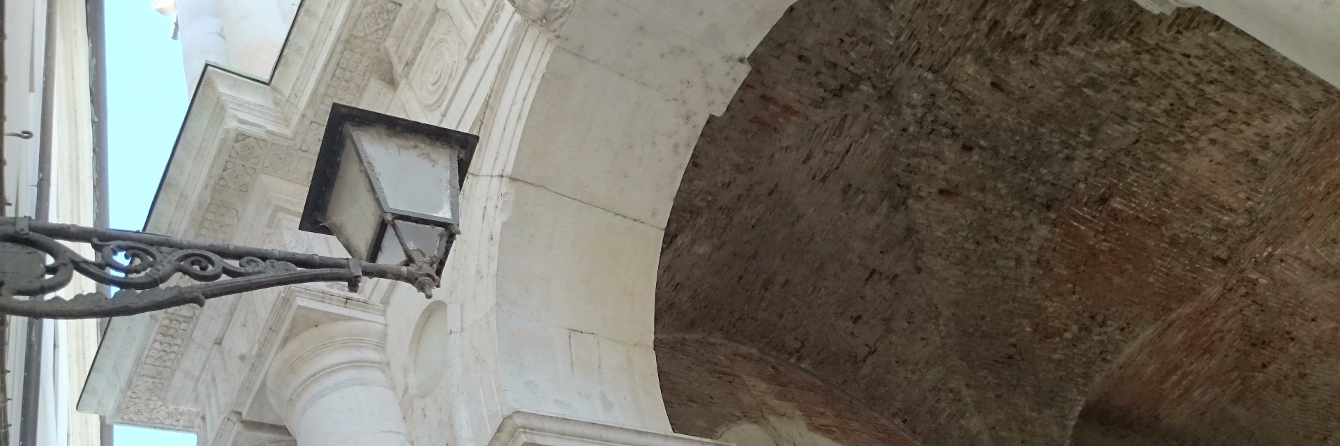 Federica Pisani banner