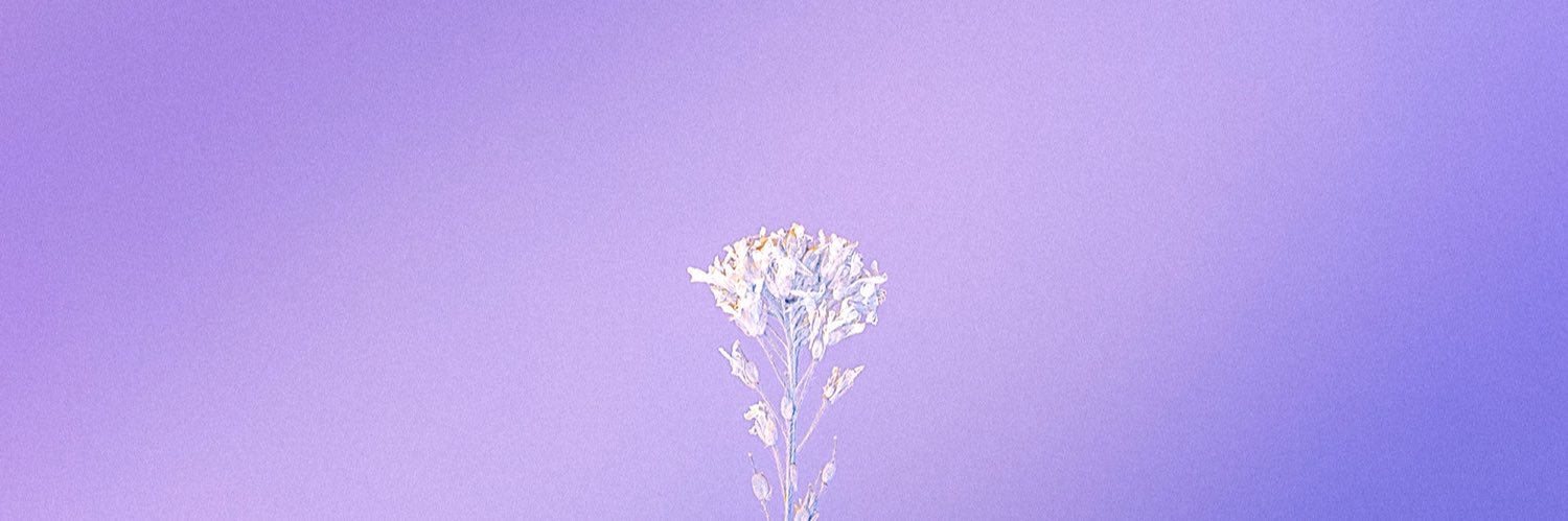 ao_0001's profile banner image
