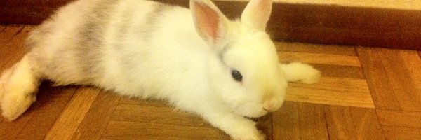 FJosefernandezb Profile Banner