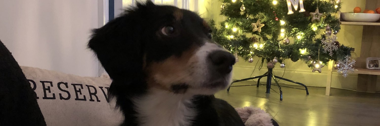 rdsturdy's profile banner image