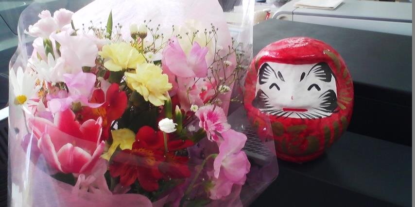 himedaruma11's profile banner image