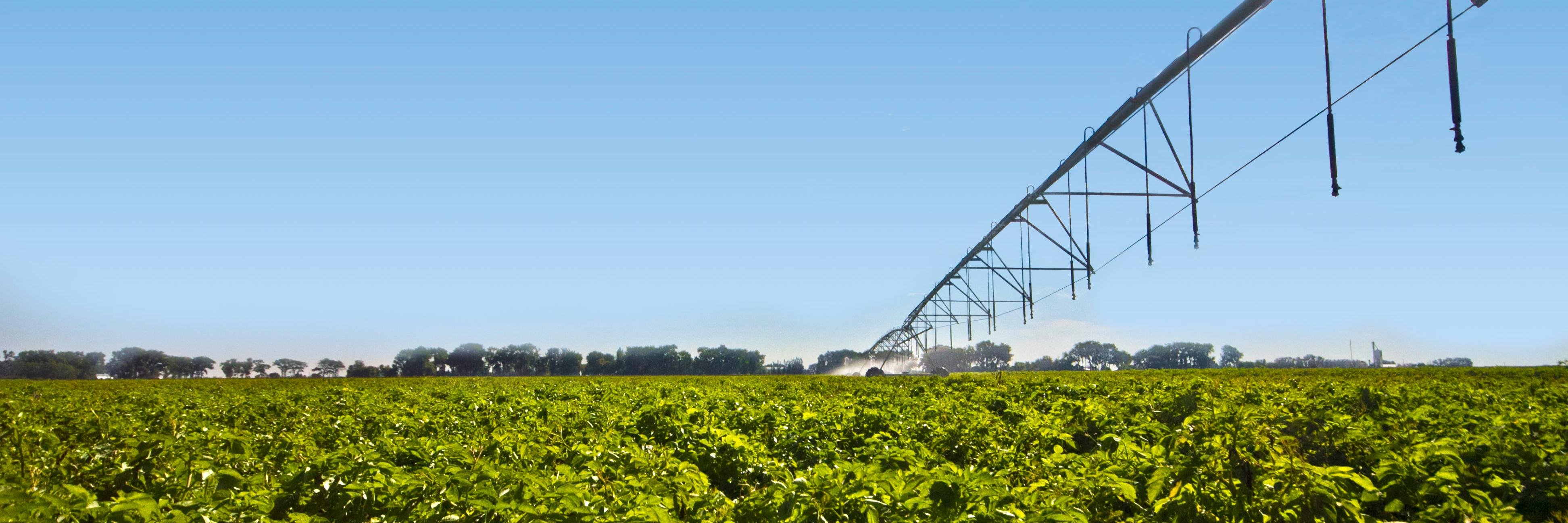 southern_potato's profile banner image