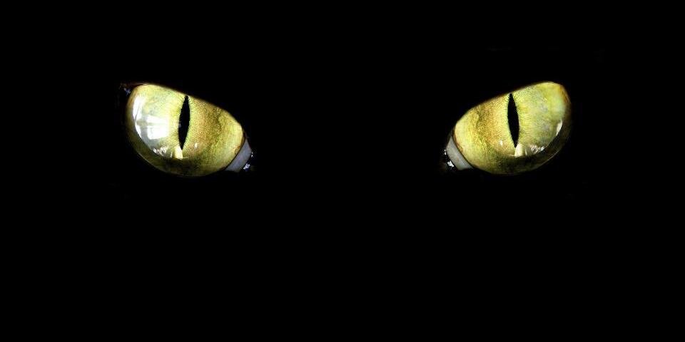 D_Valentinop's profile banner image
