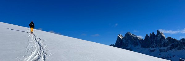 Alexander Sahn Profile Banner