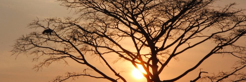 Muheebwah's profile banner image