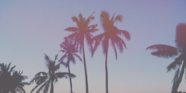 drewgdrss's profile banner image