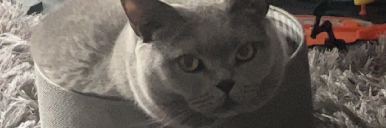 EAistMuch's profile banner image