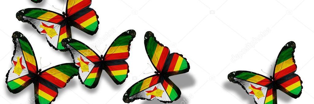 vanyemba's profile banner image