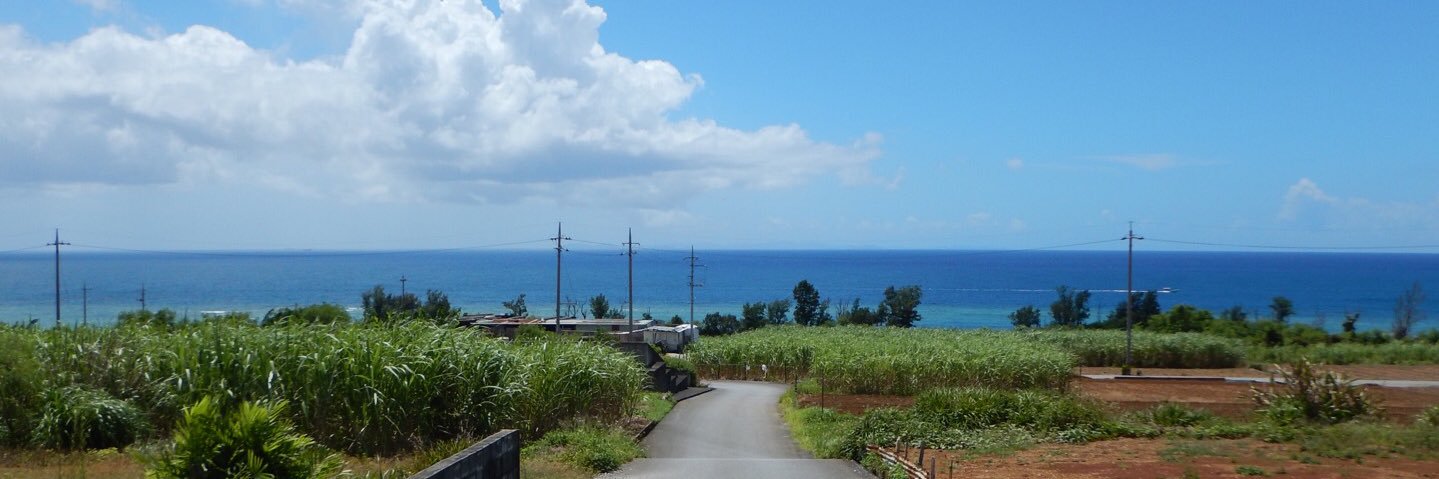 ウワディスワフ・ハゲるマン banner