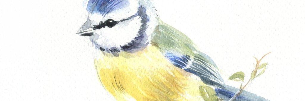 Celia_Maria_97's profile banner image