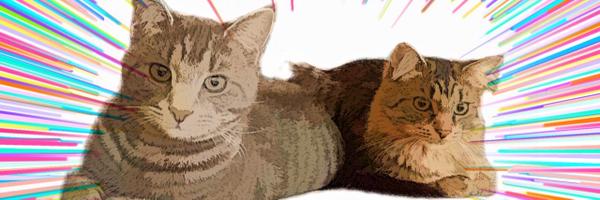 WyattMarlo Profile Banner