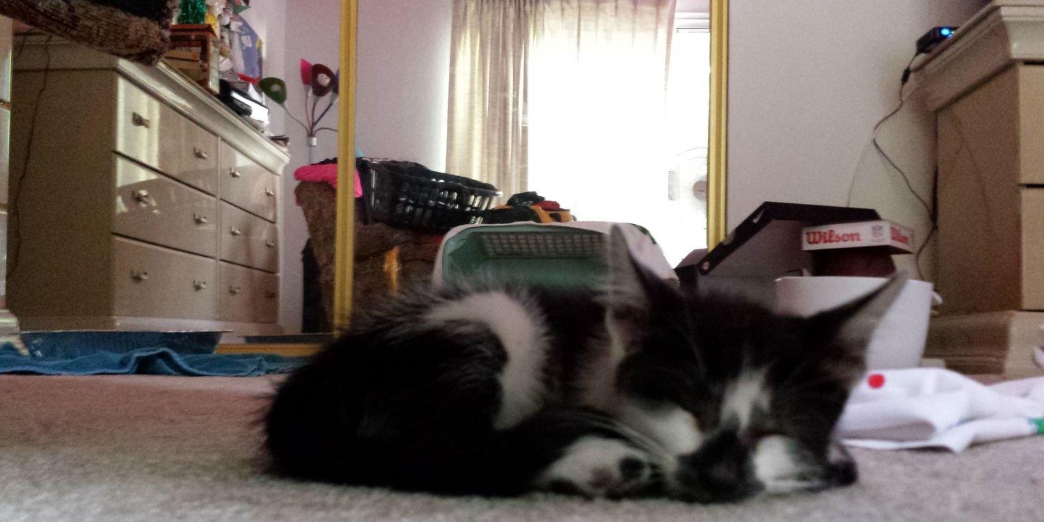 jenny_bean_14's profile banner image
