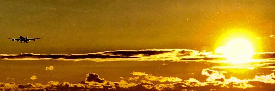 Gina_Samarotto's profile banner image