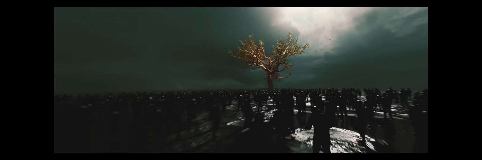 nicaro02's profile banner image
