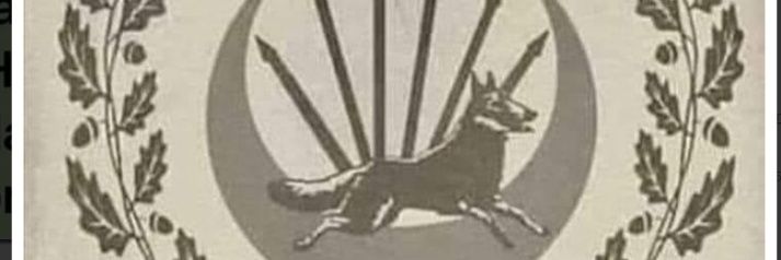aalanurerd's profile banner image