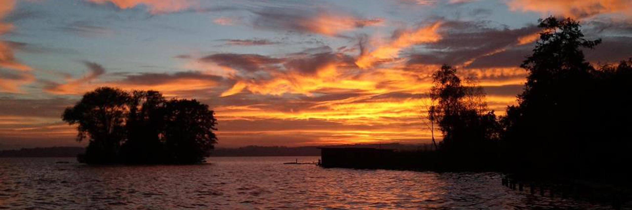 Christian Mueller banner