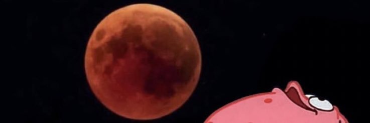 YoMommaThiccc's profile banner image