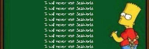 AwesomeOceanDebunked banner