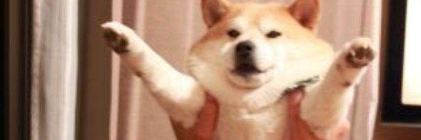 OTL12's profile banner image