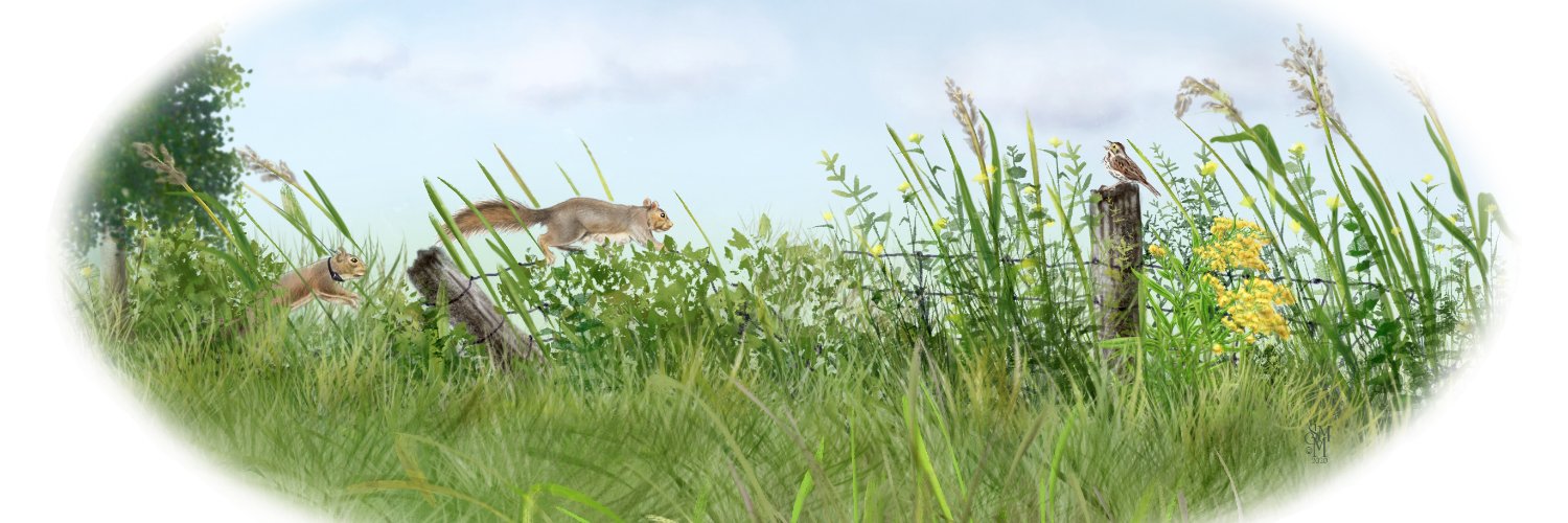 Newman_lab's profile banner image