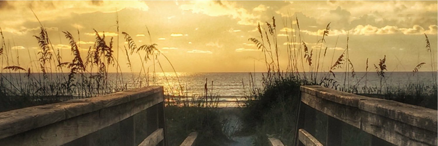 SandyFickes's profile banner image