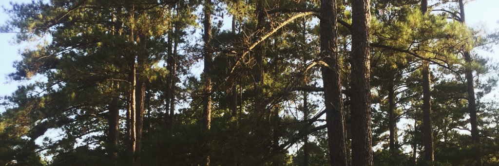 delaneyjcleary's profile banner image