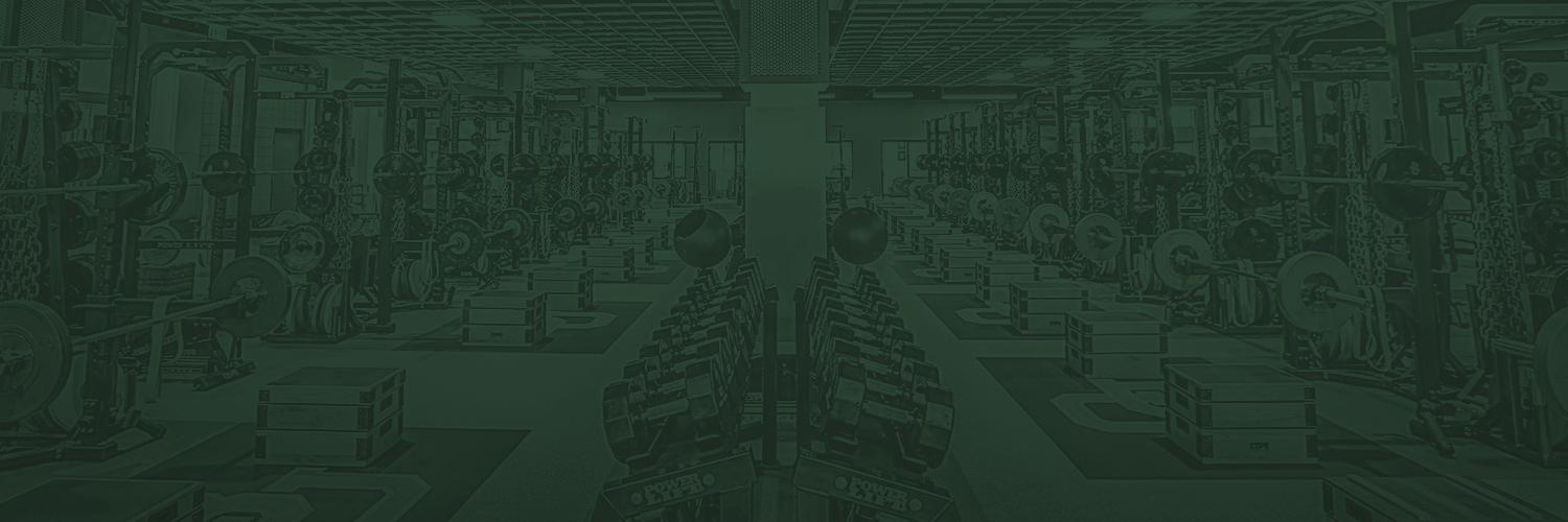 BU_bearintel's profile banner image
