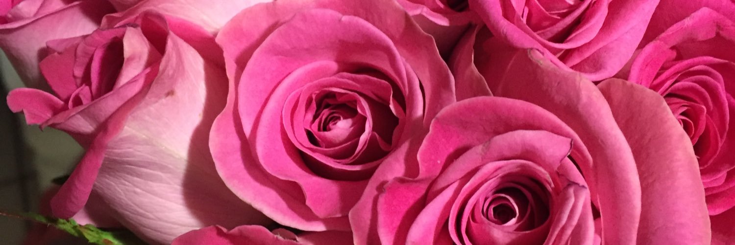 ddahy4's profile banner image