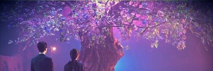 🌈ARI⭐💕 banner
